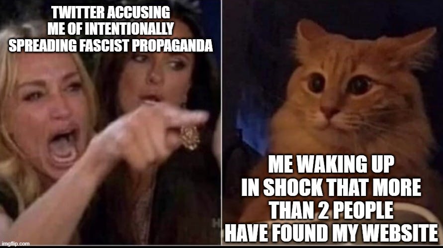 Screaming woman on left points finger at orange cat looking scared and confused. Left text: "Twitter accusing me of intentionally spreading fascist propaganda". Right text: "Me waking up in shock that more than 2 people have found my website".